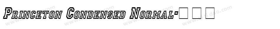 Princeton Condensed Normal字体转换